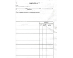 DI – Manifeste