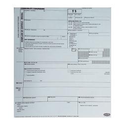 Formulaire DAU Transit T5